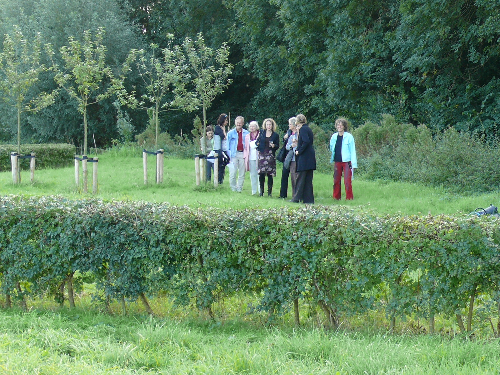 De Wetten van Queirt (the appletreetemple)