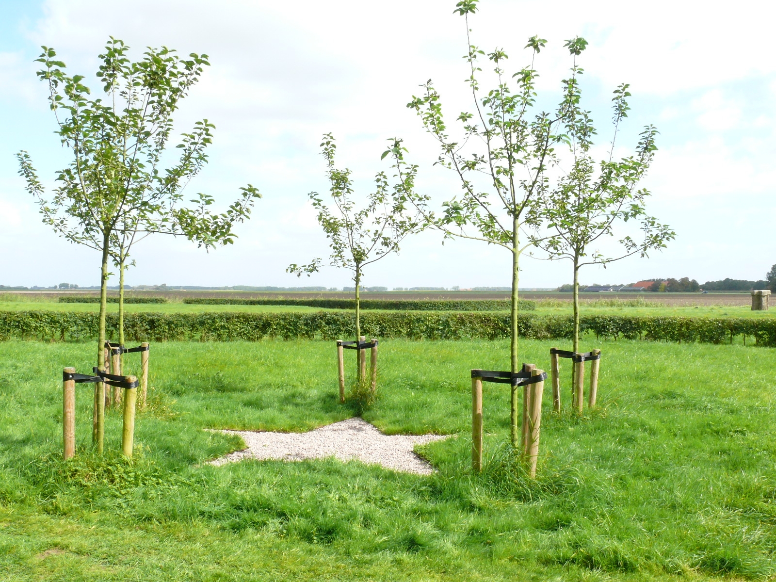 De Wetten van Queirt (appelboomtempel)